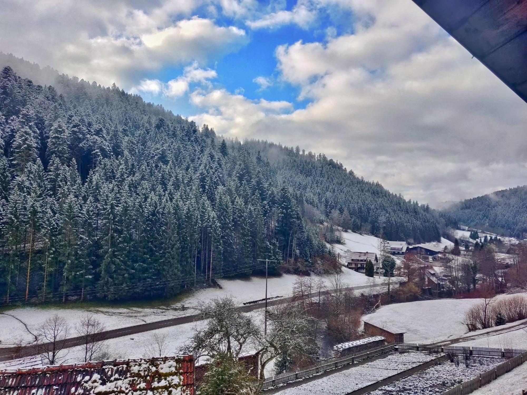 Ferienwohnungen Vogt'S Libding Bad Rippoldsau-Schapbach Bagian luar foto